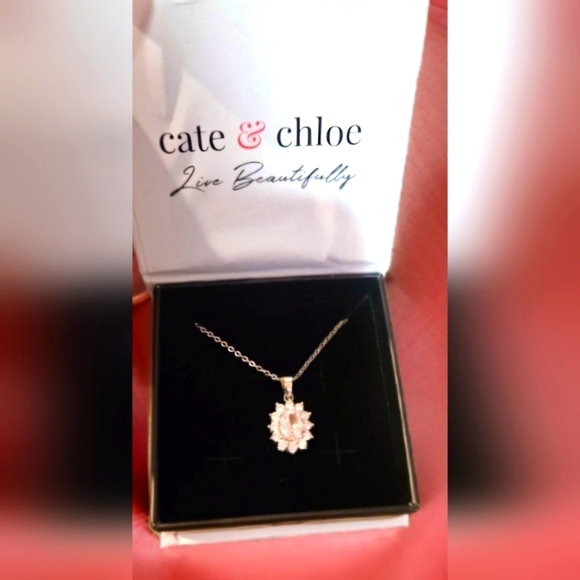 Cate and Chloe Sage 18k White Gold Plated Pendant Necklace - Picture 5 of 5